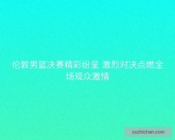 伦敦男篮决赛精彩纷呈 激烈对决点燃全场观众激情