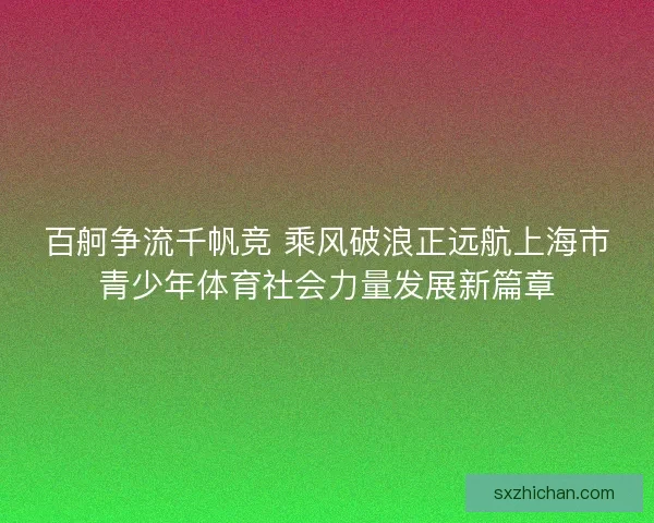 百舸争流千帆竞 乘风破浪正远航上海市青少年体育社会力量发展新篇章