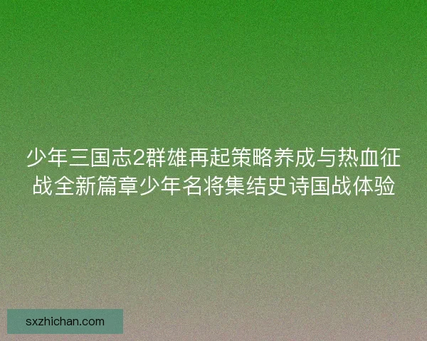 少年三国志2群雄再起策略养成与热血征战全新篇章少年名将集结史诗国战体验