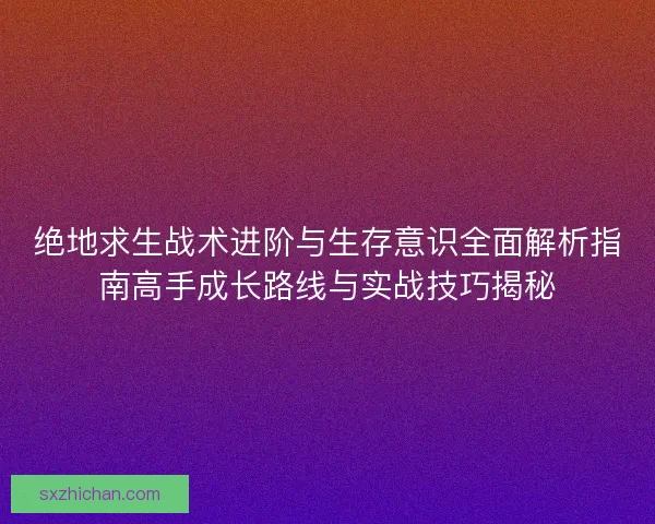 绝地求生战术进阶与生存意识全面解析指南高手成长路线与实战技巧揭秘